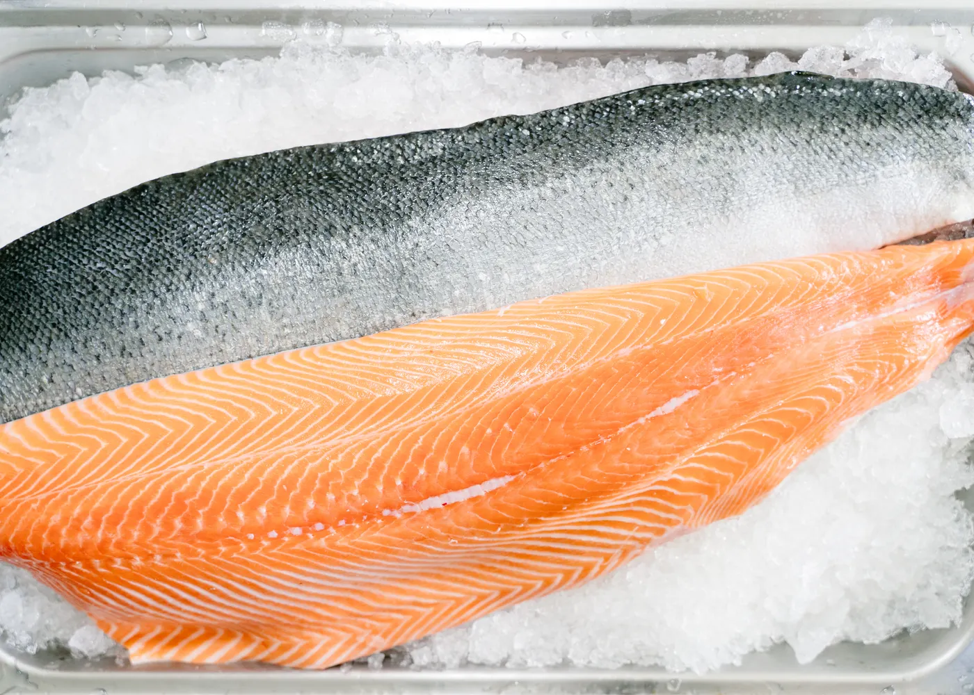 Filete de salmón refrigerado sobre hielo